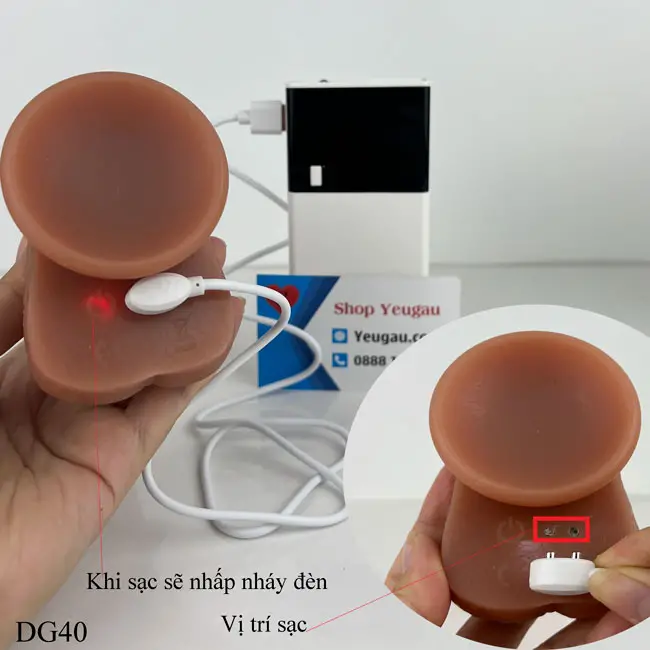 Pin sạc bền bỉ cho cuộc yêu dài lâu