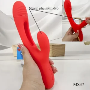 Nhánh phụ rung kích dục bên ngoài âm đạo và hột le